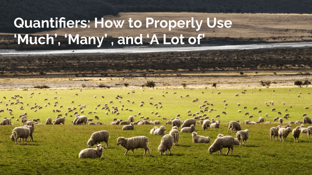 Blog Article Thumbnail